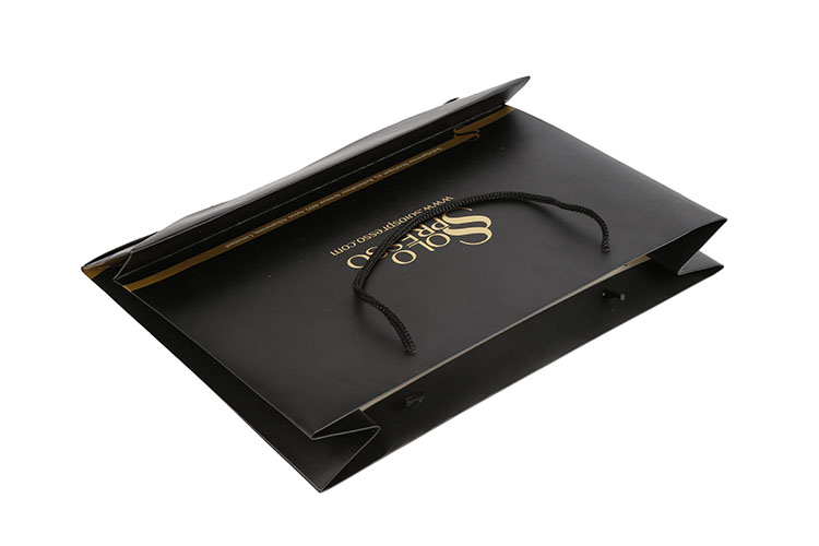 Custom Black Shopping Packaging Bag Luxury Paper Gift Bag With Ribbon Handle(图7)