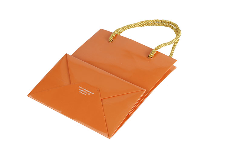 New Ribbon Lovely Packaging Bag Paper Kids Bag For Gift(图3)