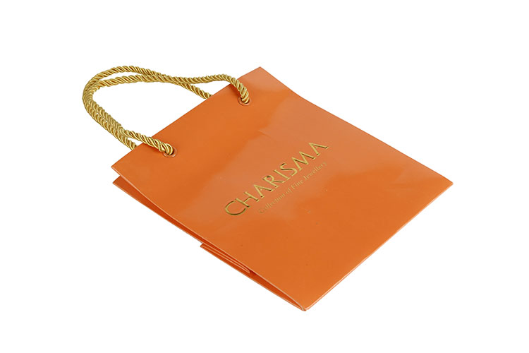 New Ribbon Lovely Packaging Bag Paper Kids Bag For Gift(图1)