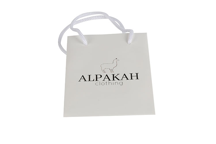 High Quality Beautiful Cosmetic Clothing Shopping Packaging Paper Custom Gift Bags(图3)